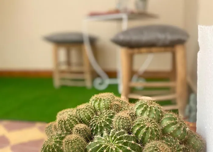 Studio Moderne Avec Terrasse